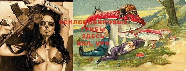 прущие грибы Волосово