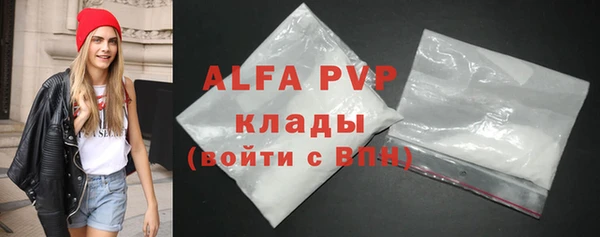 прущие грибы Волосово