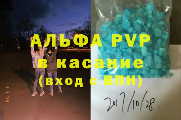 прущие грибы Волосово