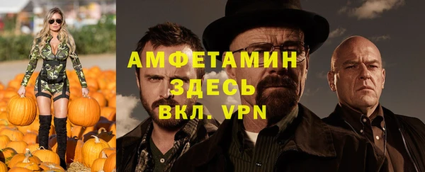 прущие грибы Волосово